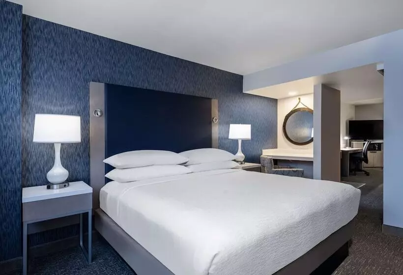 身障者適用スイートルーム, Embassy Suites By Hilton Baltimore Hunt Valley