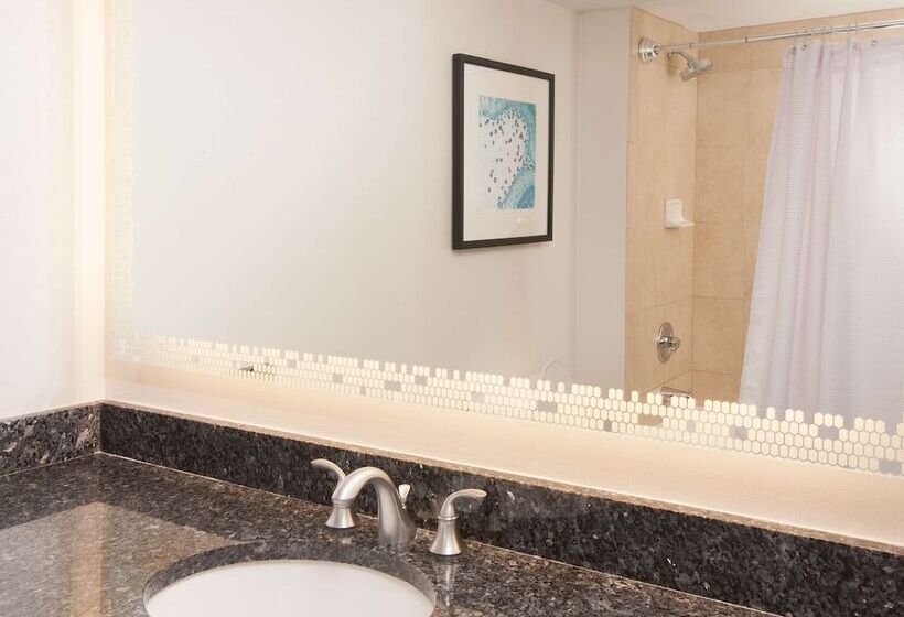 سوئیت پریمیوم, Embassy Suites By Hilton Raleigh Crabtree