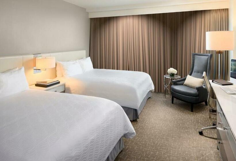 غرفة قياسية, Fontainebleau Miami Beach