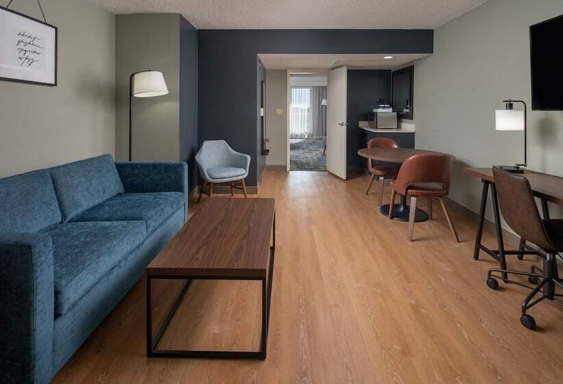 جناح لذوى الاحتياجات الخاصة, Four Points By Sheraton Suites Tampa Airport Westshore