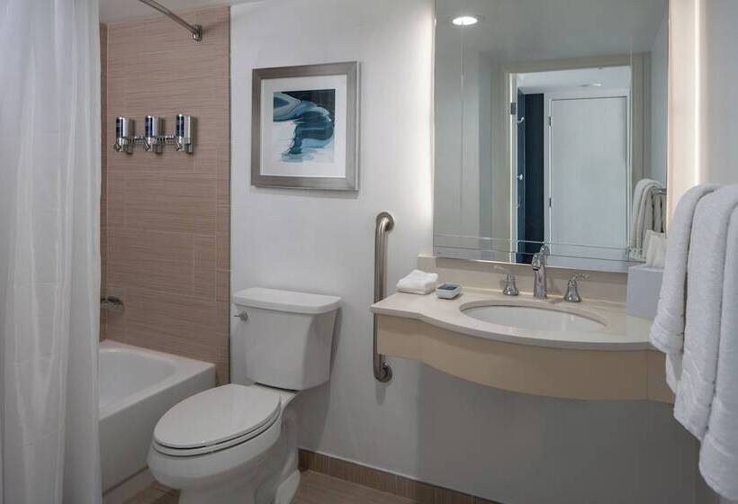 סוויטה מותאמת לאדם עם מוגבלויות, Four Points By Sheraton Suites Tampa Airport Westshore