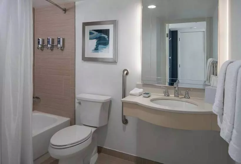 سوئیت برای معلولان, Four Points By Sheraton Suites Tampa Airport Westshore