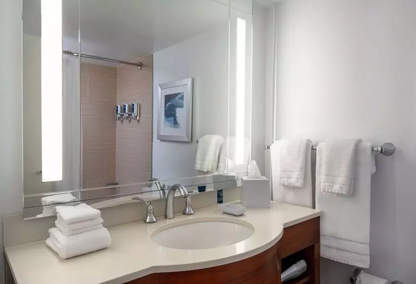 سوئیت برای معلولان, Four Points By Sheraton Suites Tampa Airport Westshore