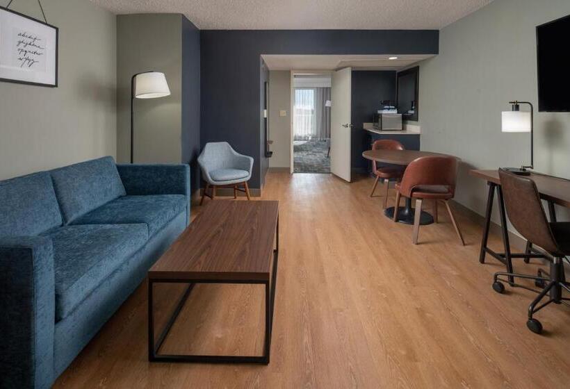 סוויטה דלוקס, Four Points By Sheraton Suites Tampa Airport Westshore