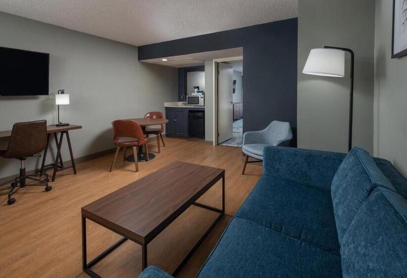 جناح ديلوكس, Four Points By Sheraton Suites Tampa Airport Westshore