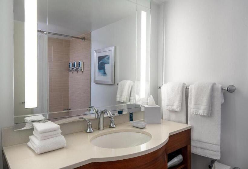 חדר דלוקס עם מיטת קינג, Four Points By Sheraton Suites Tampa Airport Westshore