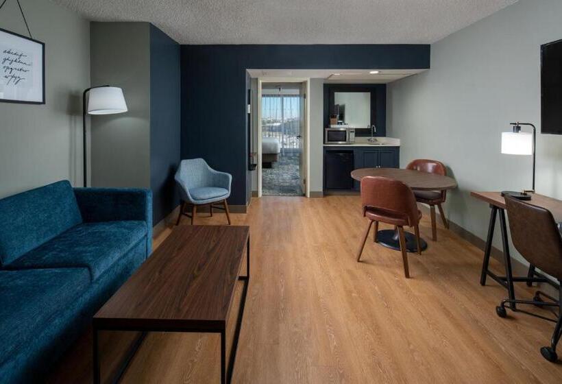 جناح ديلوكس سرير كينج, Four Points By Sheraton Suites Tampa Airport Westshore