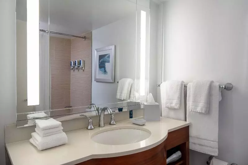 Deluxe Suite King Bed, Four Points By Sheraton Suites Tampa Airport Westshore