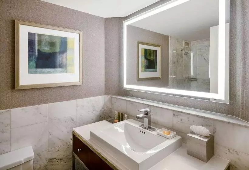 2ダブルベッドのスタンダードルーム, Hilton Dallas Lincoln Centre
