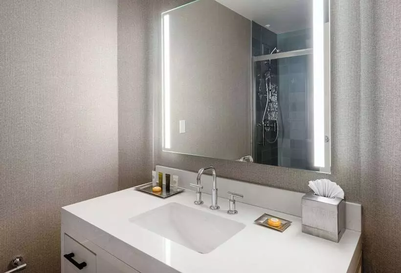 ダブルベッドのスタンダードスタジオ, Hilton Dallas Lincoln Centre