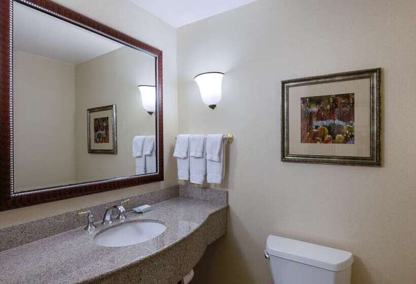 اتاق استاندارد, Hilton Fort Wayne At The Grand Wayne Convention Center