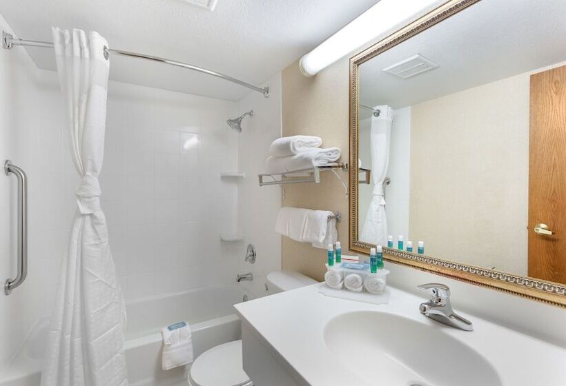 غرفة قياسية, Holiday Inn Express Chicago Downers Grove, An Ihg