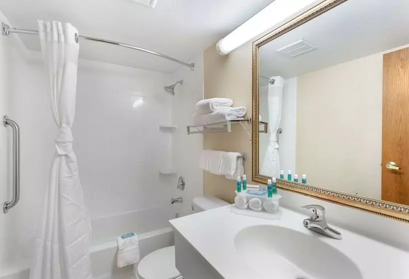 ２ダブルベッドのスタンダードルーム, Holiday Inn Express Chicago Downers Grove, An Ihg