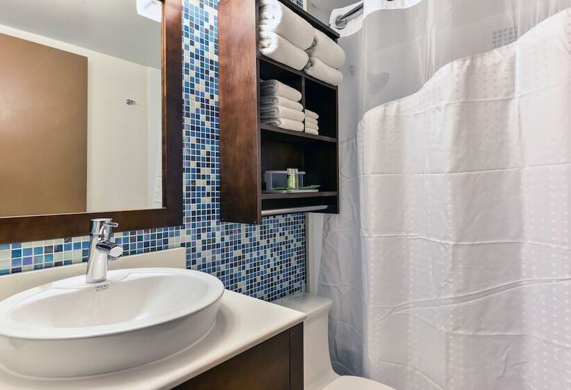 스탠다드 룸, Holiday Inn Express Washington Dc Silver Spring, An Ihg