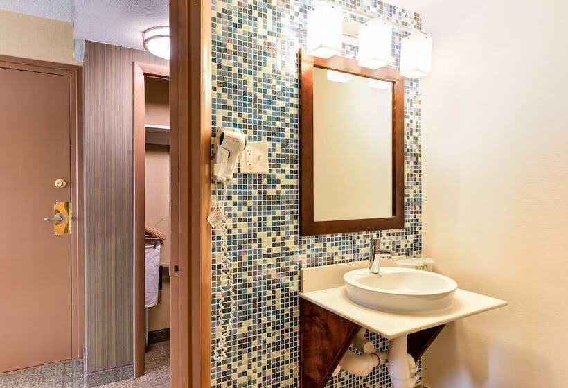 스탠다드 룸, Holiday Inn Express Washington Dc Silver Spring, An Ihg