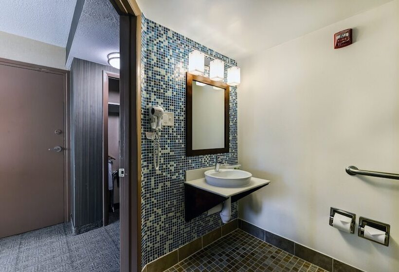 스탠다드 룸, Holiday Inn Express Washington Dc Silver Spring, An Ihg