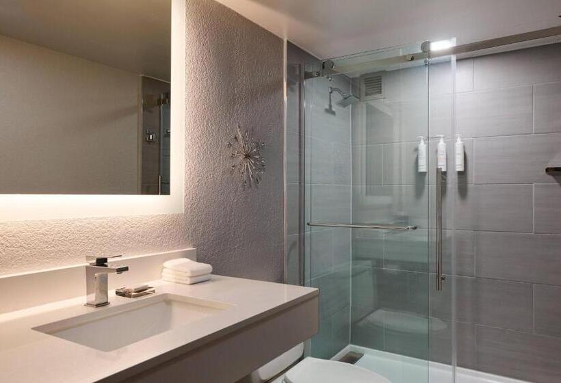 스탠다드 룸 킹사이즈 침대, Marriott El Paso