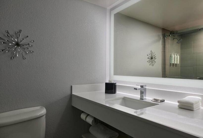 스탠다드 룸, Marriott El Paso