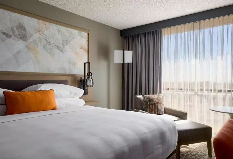 スタンダードルーム, Marriott El Paso