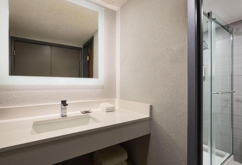 스탠다드 룸 더블 침대 2개, Marriott El Paso