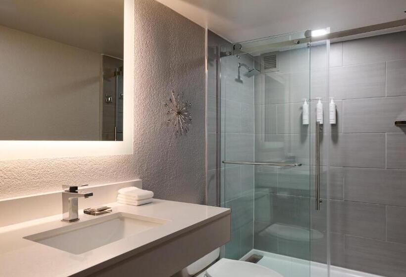 스탠다드 룸 더블 침대 2개, Marriott El Paso