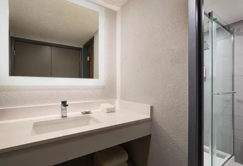 １階のスタンダードルーム, Marriott El Paso