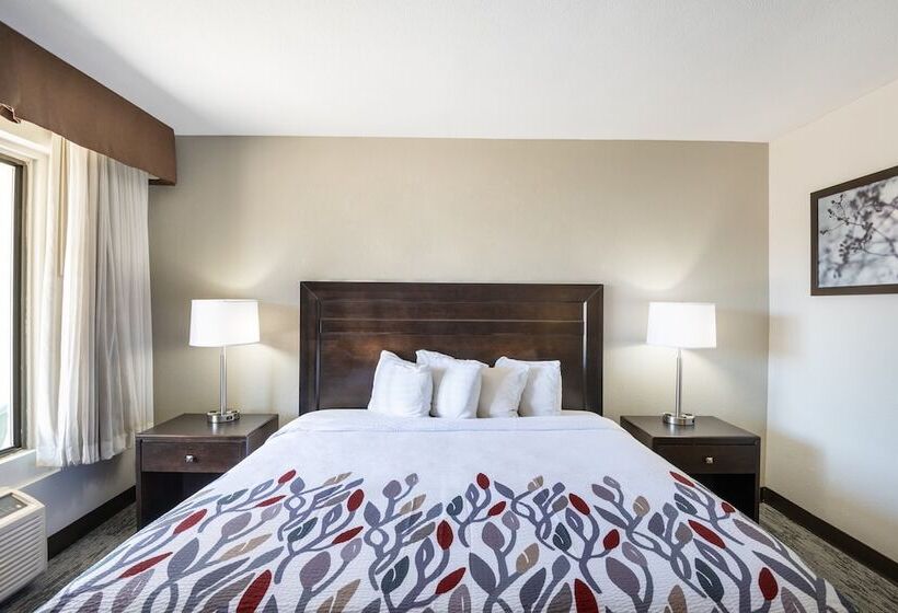 اتاق لوکس, Red Roof Inn Tucson Downtown  University