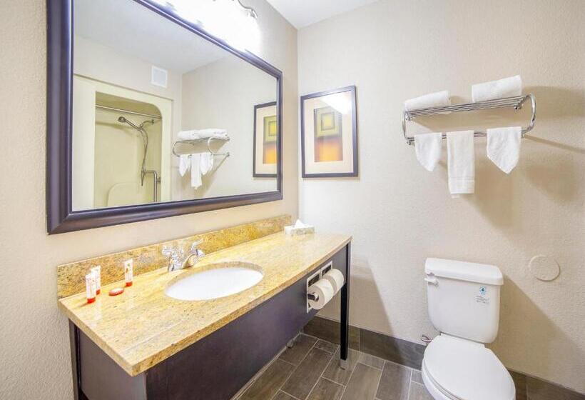 带2个双人床的标准工作室, Wingate By Wyndham Columbia/fort Jackson