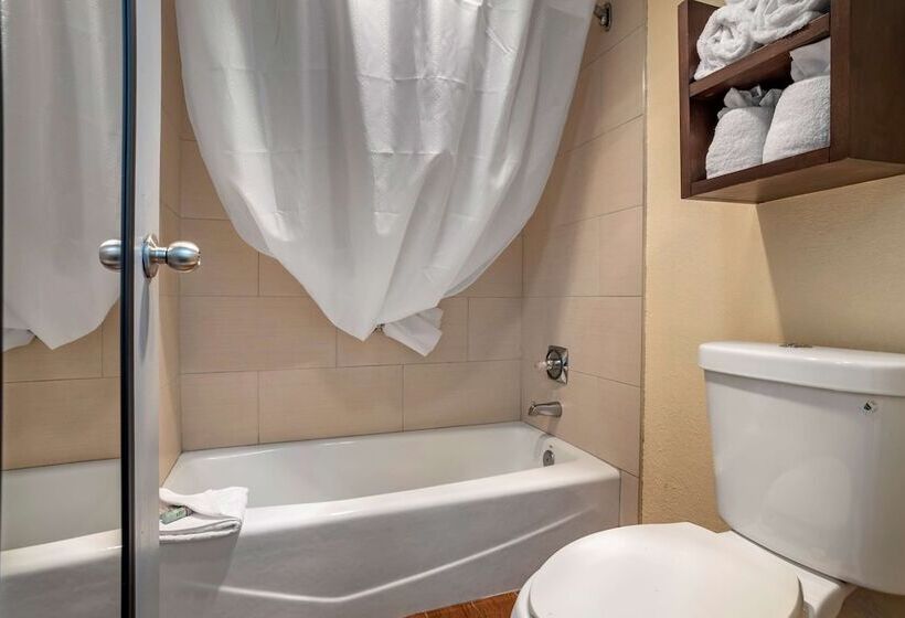 غرفه قياسيه سريرين مزدوجين, Best Western Salisbury Plaza