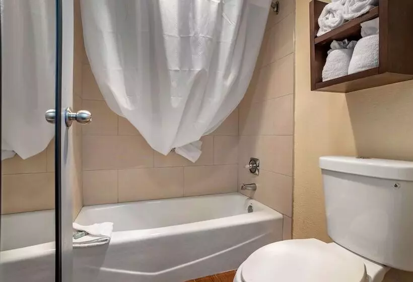 اتاق استاندارد با 2 تخت دوبل, Best Western Salisbury Plaza