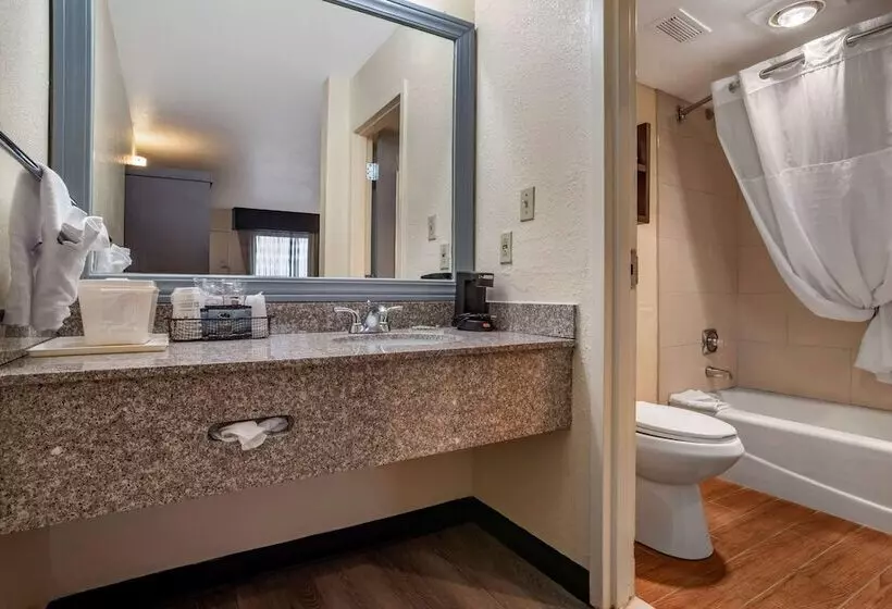 اتاق استاندارد با 2 تخت دوبل, Best Western Salisbury Plaza