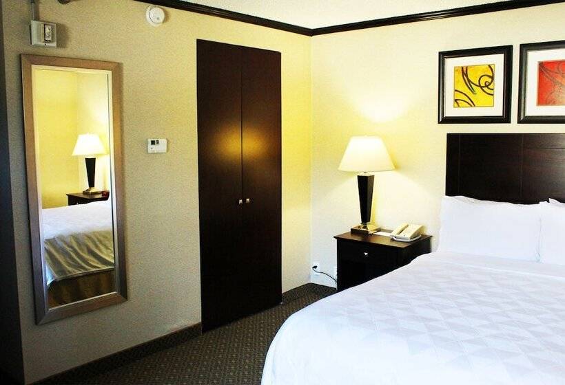 2ダブルベッドのスタンダードルーム, Burbank