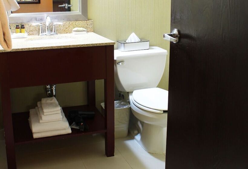 デラックスルーム, Burbank