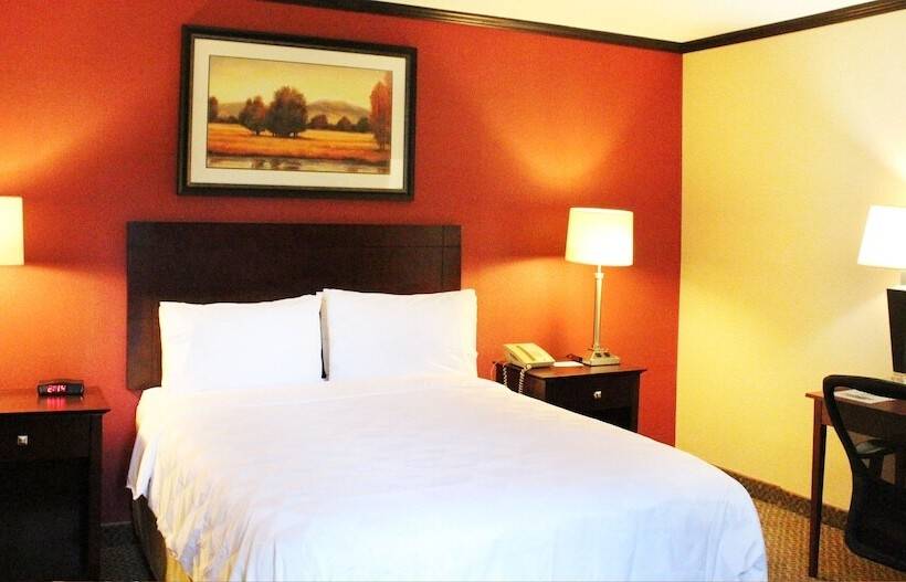 エクゼクティブルーム, Burbank