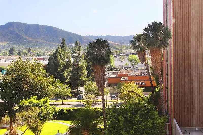 اتاق استاندارد با تخت بزرگ, Burbank