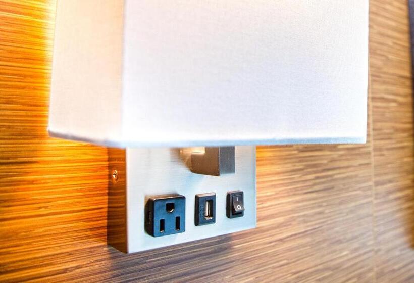 스탠다드 룸 킹사이즈 침대, Mainstay Suites Springfield Il