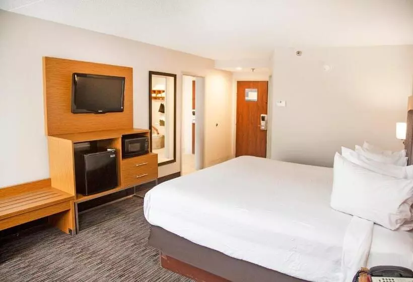اتاق استاندارد با تخت بزرگ, Mainstay Suites Springfield Il