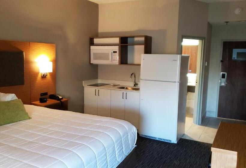 스탠다드 룸 킹사이즈 침대, Mainstay Suites Springfield Il
