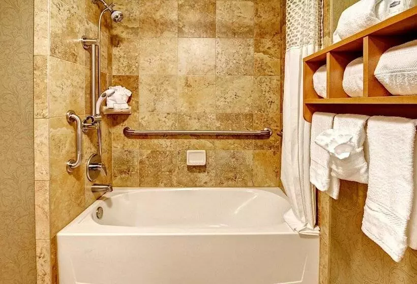 身障者適用キングサイズベッドルーム, Hampton Inn Nashville/brentwoodi65s