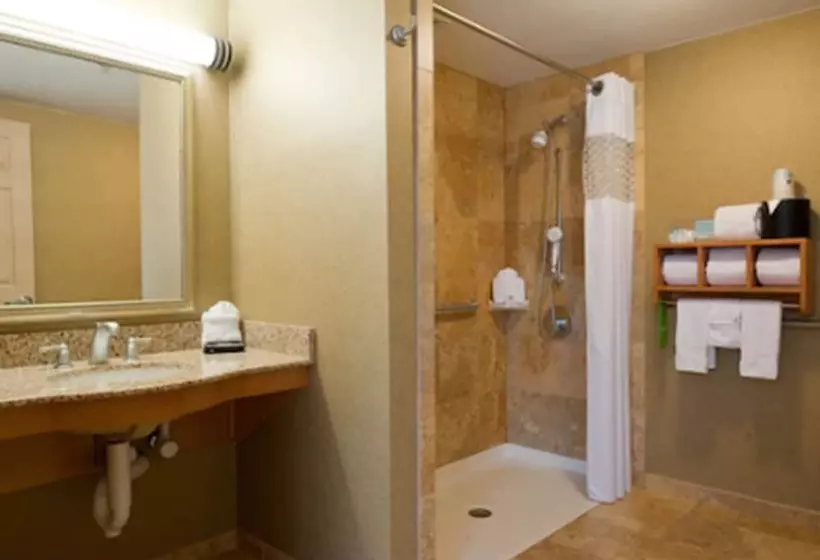 身障者適用キングサイズベッドルーム, Hampton Inn Nashville/brentwoodi65s