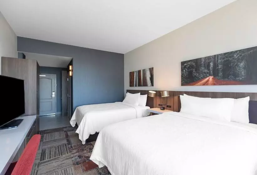 اتاق استاندارد با 2 تخت دوبل, Hilton Garden Inn San Francisco/oakland Bay Bridge