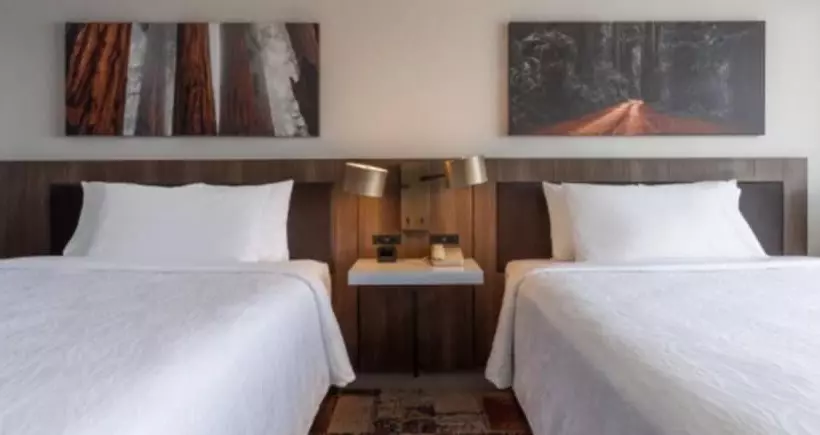 اتاق استاندارد با 2 تخت دوبل, Hilton Garden Inn San Francisco/oakland Bay Bridge