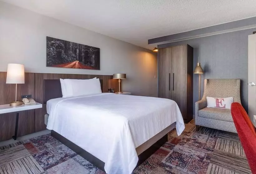 اتاق استاندارد با تخت دو نفره بزرگ, Hilton Garden Inn San Francisco/oakland Bay Bridge