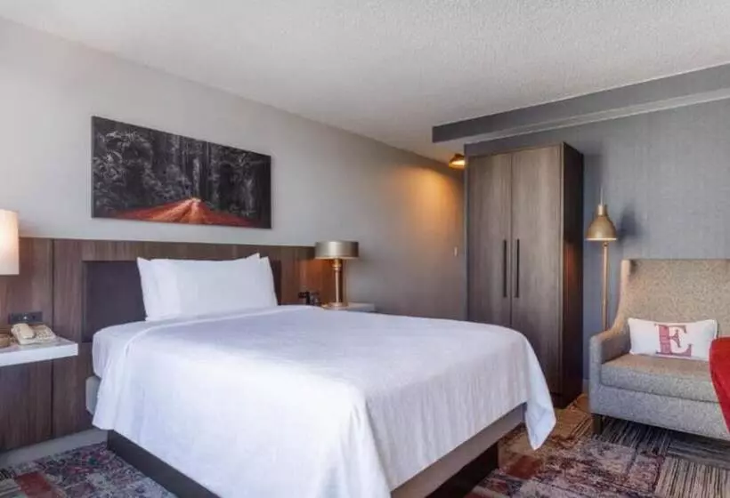 اتاق استاندارد با تخت دو نفره بزرگ, Hilton Garden Inn San Francisco/oakland Bay Bridge