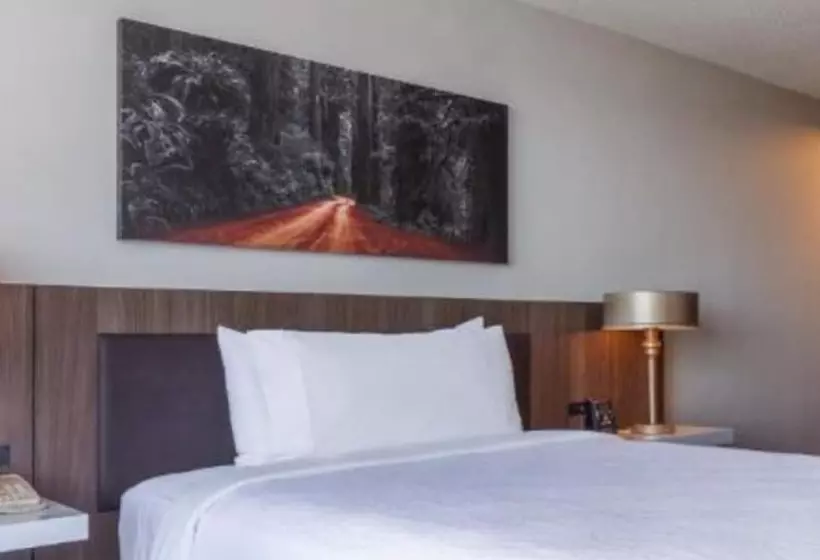 اتاق استاندارد با تخت دو نفره بزرگ, Hilton Garden Inn San Francisco/oakland Bay Bridge