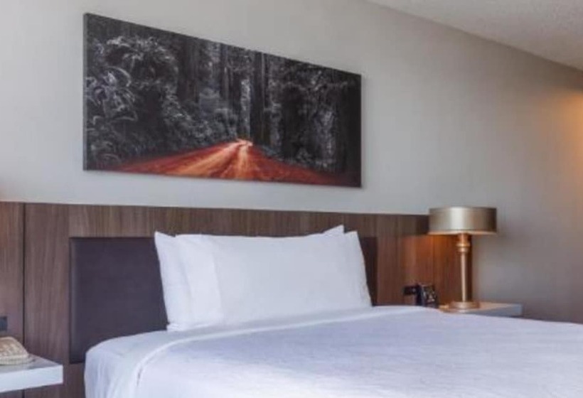 Номер Стандарт Двуспальная Кровать с Видом, Hilton Garden Inn San Francisco/oakland Bay Bridge