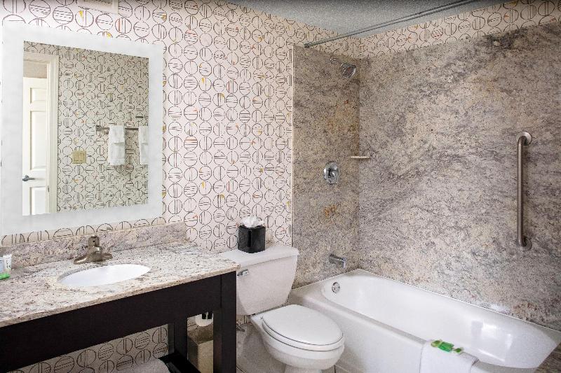 스탠다드 룸 킹사이즈 침대, Holiday Inn Boston   Dedham Hotel & Conference Center By Ihg