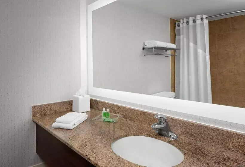 スイート, Holiday Inn Hasbrouck Heights Meadowlands, An Ihg