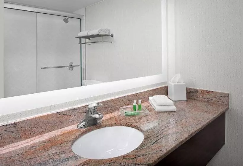 スイート, Holiday Inn Hasbrouck Heights Meadowlands, An Ihg