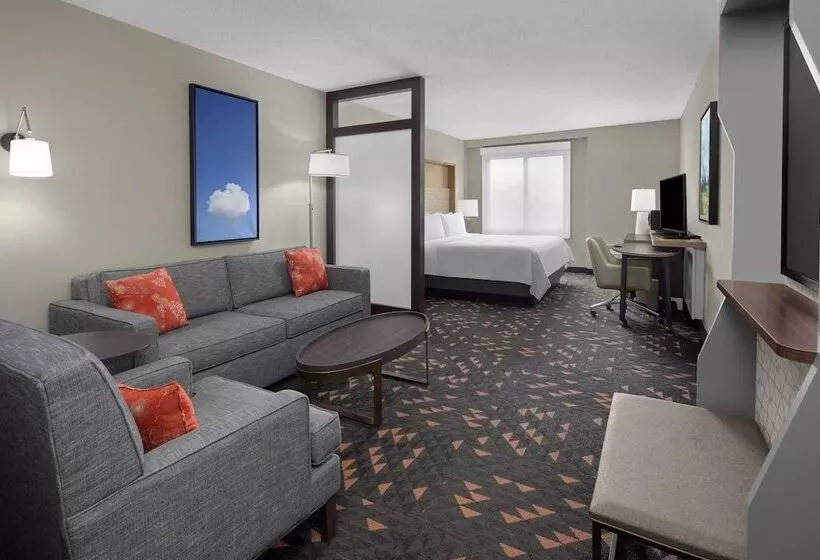 スイート, Holiday Inn Hasbrouck Heights Meadowlands, An Ihg